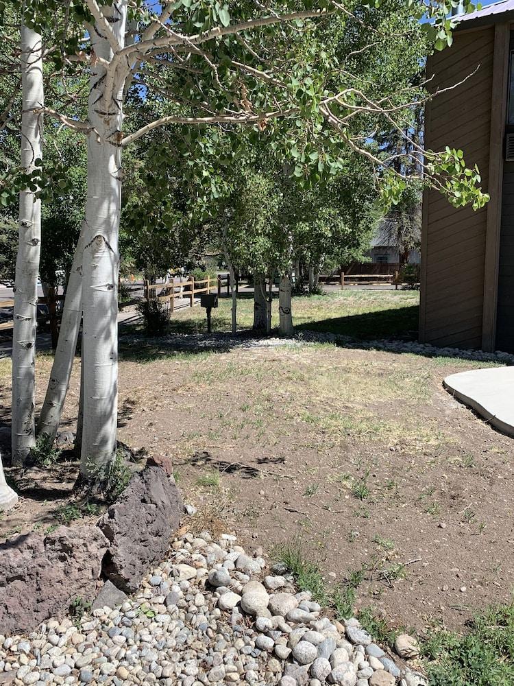 ホテル Baymont By Wyndham Monte Vista エクステリア 写真
